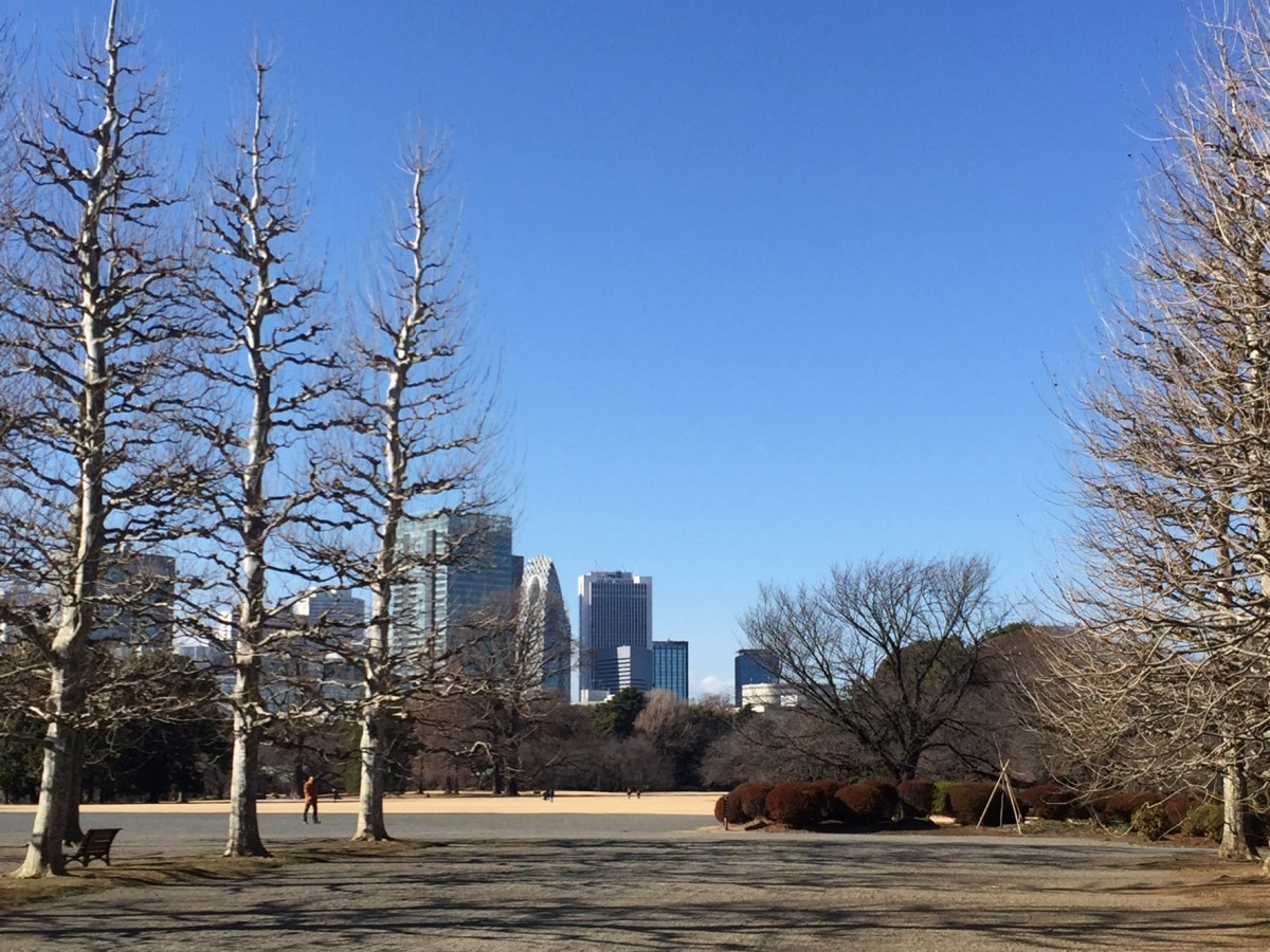 Shinjuku Gyoen (新宿御苑) in&nbsp;winter