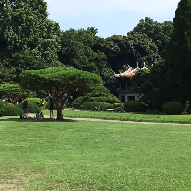 2028650F-5A47-4B25-97C7-C36788DBAF41