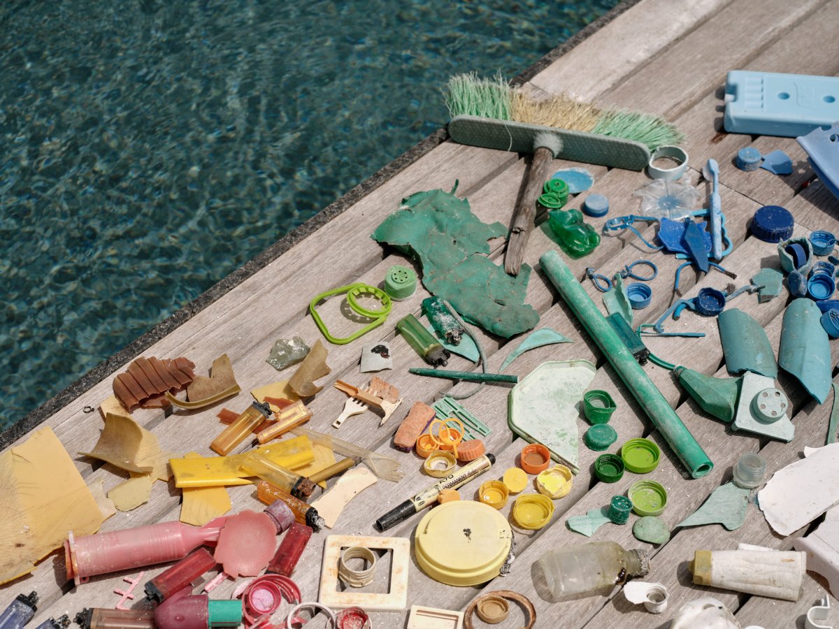 A monument to witness – interview with Pamela&nbsp;Longobardi