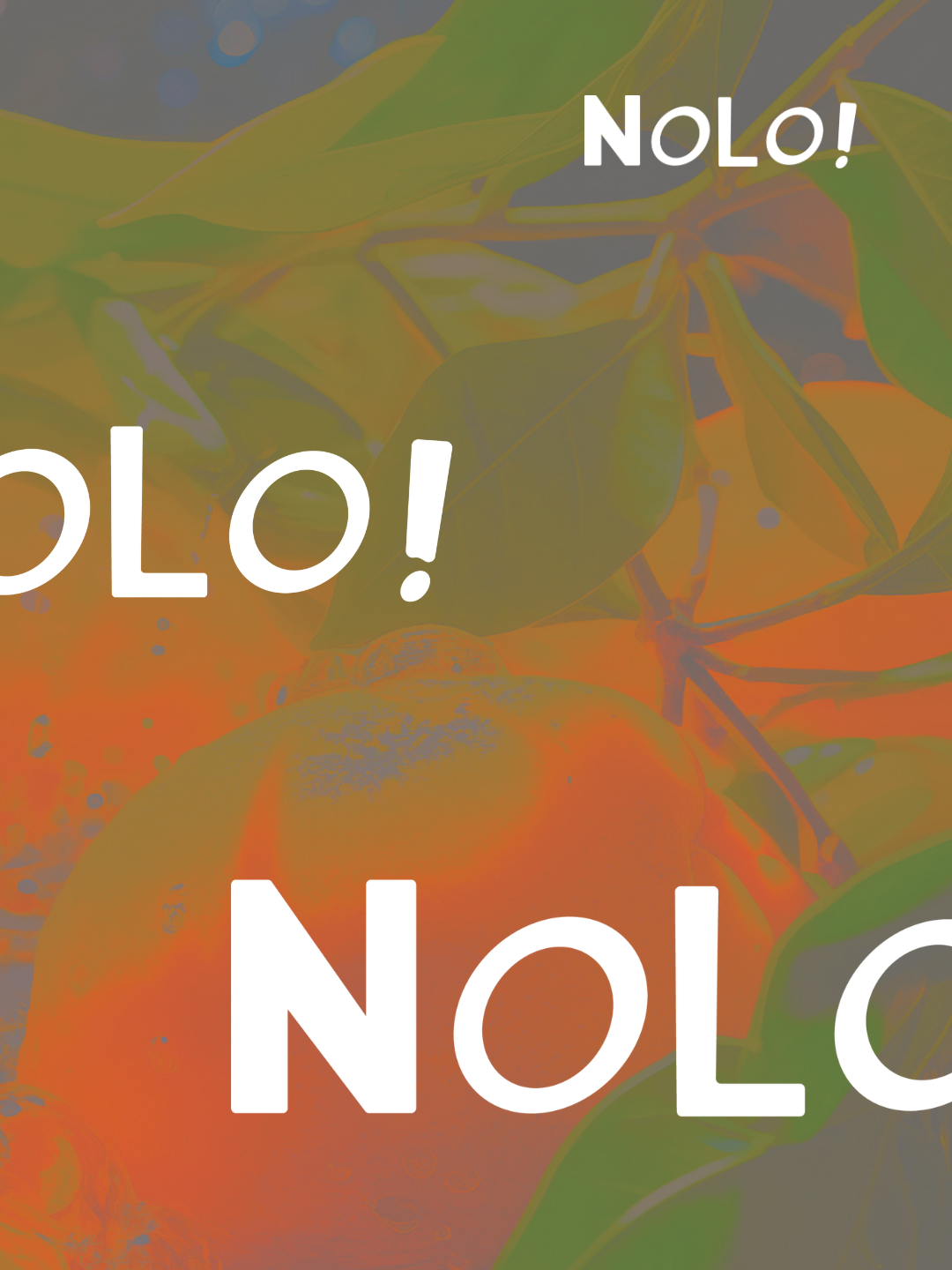 NOLO! cocktail bar in Seoul logo